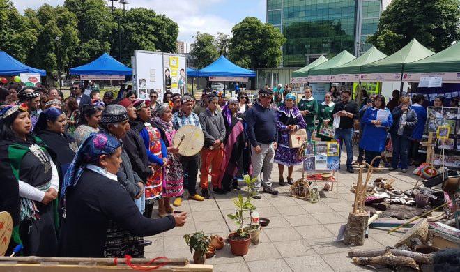 Danzas y juegos mapuche fueron protagonistas en la Feria de Estrategias Interculturales