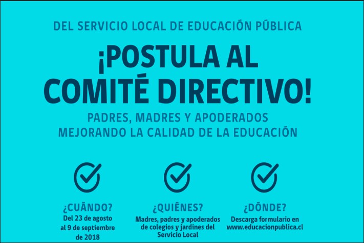 Comienza la constitución de los Comités Directivos  de los Servicios Locales de Educación Pública