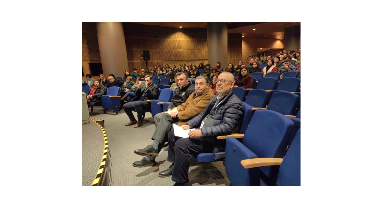 ENCARGADOS DE CONVIVENCIA ESCOLAR DE SERVICIOS LOCALES SE CAPACITAN EN CURSOS DE LA SUBSECRETARÍA DE PREVENCIÓN DEL DELITO