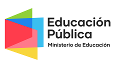 Declaración pública: director Rodrigo Egaña B.