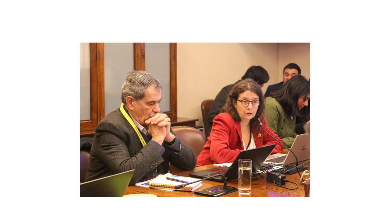 Director de Educación Pública asistió a Comisión de Educación de la Cámara de Diputados y Diputadas