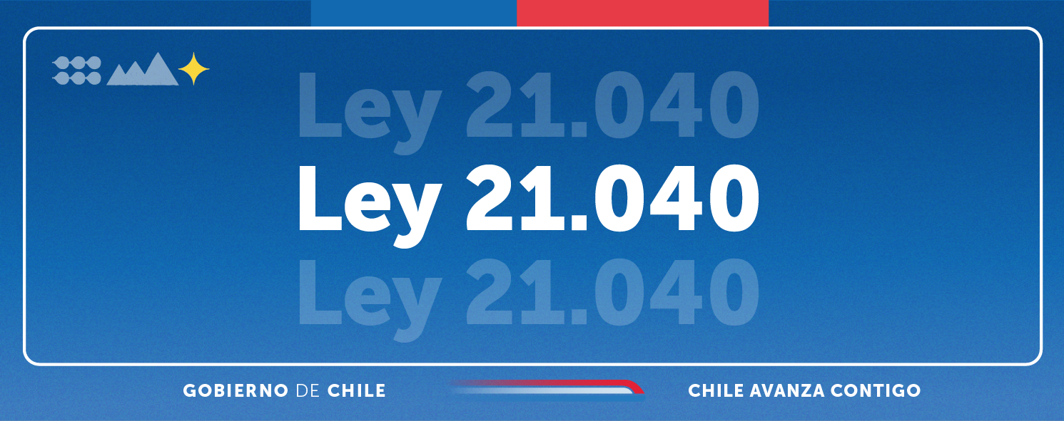 Ley 21040