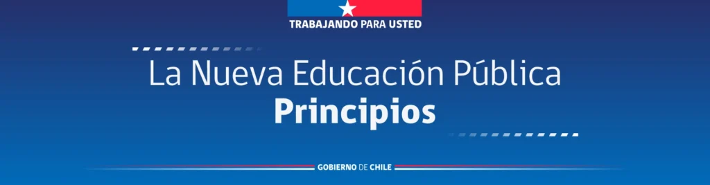 La Nueva Educación Pública - Principios