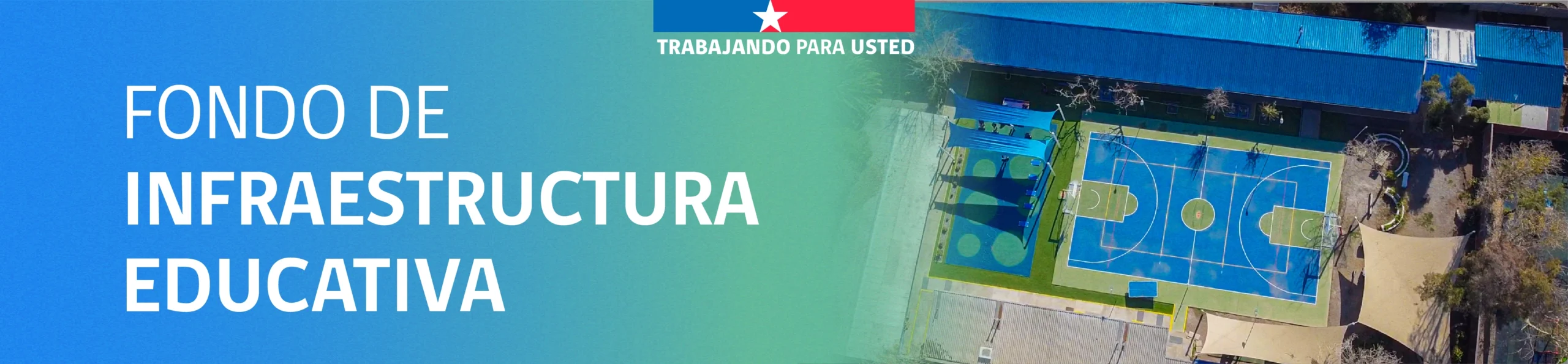 Banner nuevos 2026 11