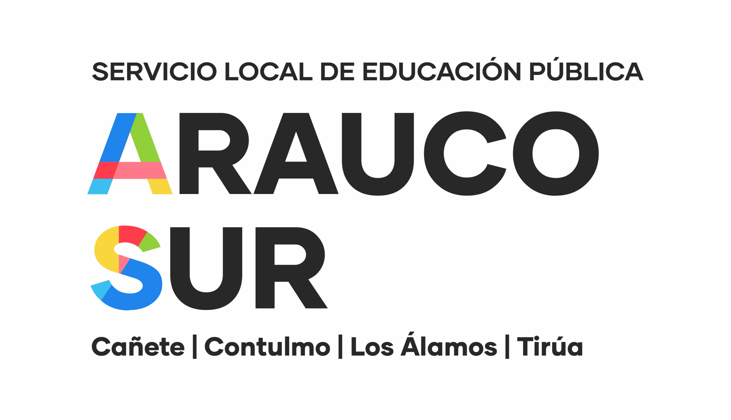 Log arauco sur 01